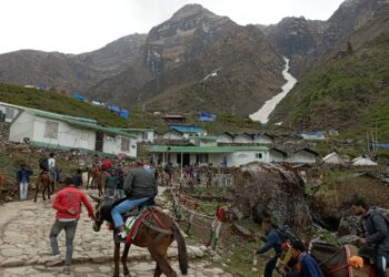 मात्र 19 दिन में 3,35,134 श्रद्धालुओं ने किये बाबा केदारनाथ के दर्शन