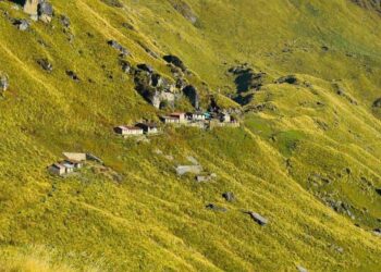 चतुर्थ केदार बाबा रुद्रनाथ के द्वार पहुंचे 5500 से अधिक तीर्थयात्री,पानी की समस्या ने बढ़ाई बाबा की यात्रा में दिक्कतें