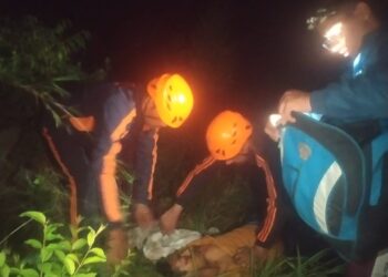 पय्याताल के समीप ऑल्टो कार के गहरी खाई में गिरने से 4 लोग घायल,एक व्यक्ति की मौके पर मौत