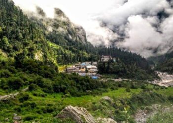 हेमकुंड साहिब यात्रा के पड़ाव घांघरिया की खूबसूरत वादियों को धब्बा दे रहा घोड़े-खच्चरों का मलमूत्र