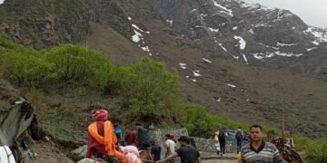 केदारनाथ यात्रा के 26 दिनों में हुई 103 पशुओं की मौत