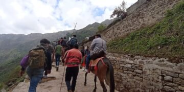 केदारनाथ यात्रा के 26 दिनों में हुई 103 पशुओं की मौत