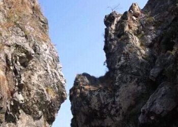 तोताघाटी में सेल्फी लेते युवक खाई में गिरा