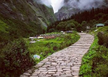 फूलों की घाटी दो दिन बाद खुली