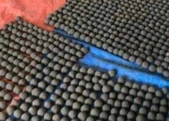 20 गांवों के ग्रामीणों ने पांच हजार से अधिक बीज बम किये तैयार