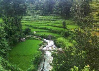 उद्यानिकी एव औषधीय पादपों की खेती के रूप में विकसित होगा बंदासा गांव