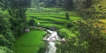 उद्यानिकी एव औषधीय पादपों की खेती के रूप में विकसित होगा बंदासा गांव