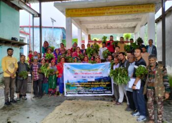 हैप्रेक ने पगना गांव में वितरित किये 15 हजार औषधीय पौधे