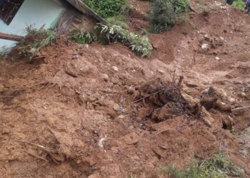 बुढ़ना गांव में मलबे में दबी गौशाला,4 मवेशी और दो भैंसे दबी