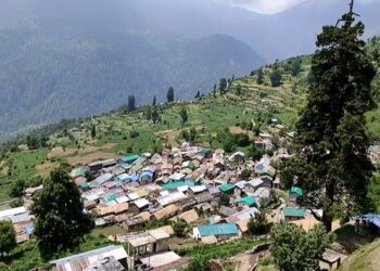 महिला को डंडी-कंडी से पहुंचाया जिला अस्पताल