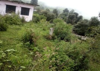 पशु सेवा केन्द्र पालाकुराली के भवन की नहीं ले रहा कोई सुध