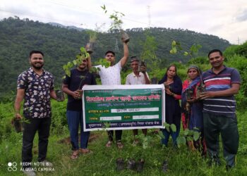 अमोटा गांव में दो सौ से अधिक वृक्षों का किया गया रोपण
