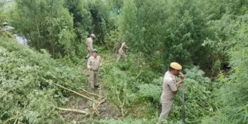 अवैध रूप से उगाई भांग की खेती को पुलिस ने किया नष्ट
