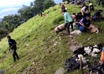 बुग्यालों में भेड़ पालकों ने मनाया लाई मेला