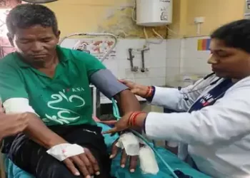 भालू के हमले से दो नेपाली मजदूर घायल