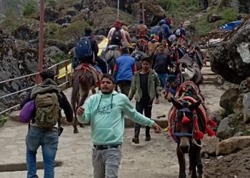 केदारनाथ यात्रा 2022 में घोडे़-खच्चरों मालिकों ने की 1 अरब 9 करोड़ 88 लाख की कमाई