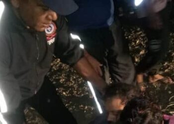 गहरी खाई में गिरी कार, मौके पर तीन युवकों की मौत,एक की हालत गंभीर