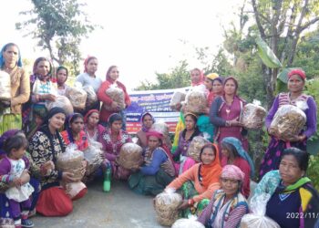 महिलाओं को स्वरोजगार से जोड़ने के लिये मशरूम उत्पादन का दिया जा रहा प्रशिक्षण