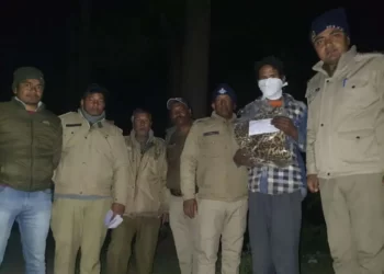 ब्रेकिंग उत्तराखंड:-पुलिस और वन विभाग की टीम ने धर दबोचा गुलदार की खाल को ले जा रहा वन्यजीव तस्कर,खाल की बरामद