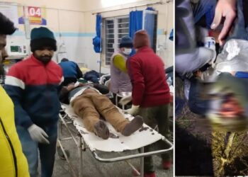 बोलेरो वाहन दुर्घटनाग्रस्‍त, दो की मौत, तीन घायल अस्‍पताल में भर्ती