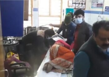 घास लेने गई दो महिलाओं पर भालू ने हमला कर  किया घायल