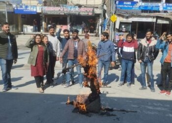 भाजपा प्रदेश अध्यक्ष के बयान पर जताया कड़ा रोष, फूंका पुतला