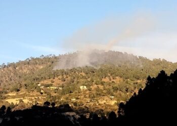 स्याल्दे में दो दिनों से धधक रहे हैं जंगल, नहीं पहुंचा वन विभाग