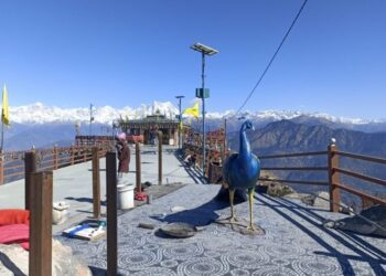 अब कार्तिक स्वामी मंदिर में भगवान कार्तिकेय की सवारी मोर के दर्शन भी करेंगे भक्त