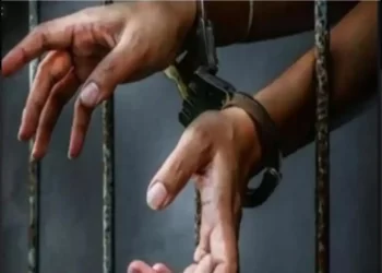 यहां शराब के नशे में हैवान बना दामाद,अब 10 साल जेल में कटेगी जिंदगी