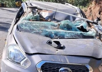 चलती कार के ऊपर अचानक गिरा पेड़, बाल-बाल बची इस फूड ब्लॉगर की जान