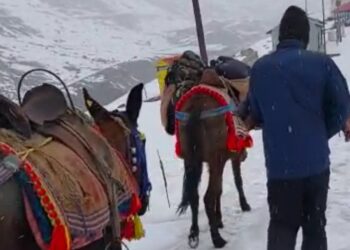 केदारनाथ यात्रा पैदल मार्ग पर आवाजाही हुई शुरू
