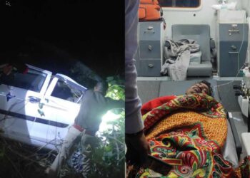 यहाँ गहरी खाई में गिरा वाहन,बाल-बाल बची जान