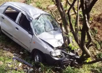 यहां चलती कार के सामने अचानक आया गुलदार, खाई में गिरा वाहन,..तीन घायल