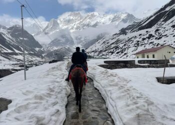 केदारनाथ यात्रा के लिए  3303 घोड़ा-खच्चरों का हुआ पंजीकरण