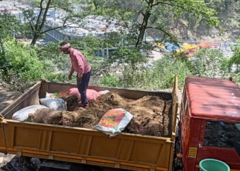 केदारघाटी में रोज़गार का जरिया बनी घोड़े-खच्चरों की लीद,निम से जुड़े पूर्व सैनिक मनोज सेमवाल ने शुरू की पहल,वेस्ट मैनेजमेंट टीम का गठन