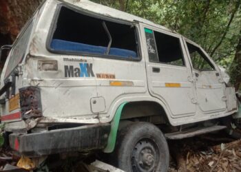 ब्रेक फेल होने से श्रद्धालुओं से भरा मैक्स वाहन खाई में गिरा, बदरीनाथ से केदारनाथ जाते समय हुआ हादसा