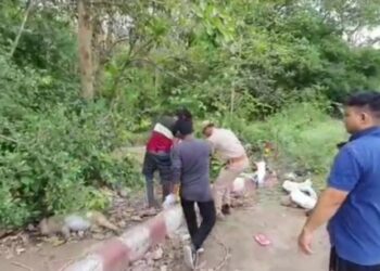 यहाँ जंगल किनारे एक साथ 1 दर्जन से अधिक बंदरों के शव मिलने से मचा हड़कंप वन विभाग जांच में जुटा