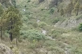 यहाँ दर्दनाक हादसा, गजा-खाड़ी मार्ग पर कार खाई में गिरने से दो लोगों की मौत