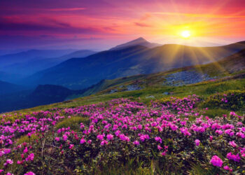 हिमखंड वाले स्थानों पर तैनात होंगे वन विभाग के कर्मचारी, एक जून को खुलनी है फूलों की घाटी