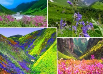 आज खुलेगी फूलों की घाटी,दो जगह पर हिमखंडों के बीच से गुजरेंगे पर्यटक