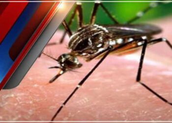 डेंगू के डंक की दहशत: स्वास्थ्य विभाग ने जारी की एडवाइजरी, यहां मिले डेंगू के मरीज। रहें सतर्क