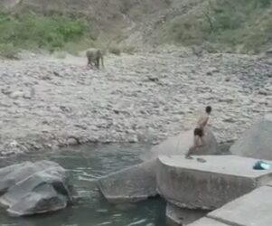 कोटद्वार में नदी में नहाते लोगों के पीछे पड़ गया हाथी