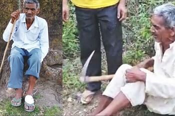 दो बाघों ने किया हमला तो कुदाल लेकर भिड़ गया बुजुर्ग…डटकर किया मुकाबला