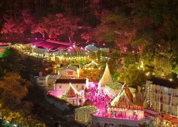 नीम करोली बाबा स्थापना दिवस :बाबा के दरबार में उमड़ा आस्था का सैलाब, सुबह दो बजे से लगी कतार