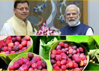 प्रधानमंत्री नरेंद्र मोदी को भाए उत्तराखंड के काफल, कहा रसीले और दिव्य मौसमी फल है काफल,सीएम धामी ने भिजवाए थे काफल