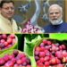 प्रधानमंत्री नरेंद्र मोदी को भाए उत्तराखंड के काफल, कहा रसीले और दिव्य मौसमी फल है काफल,सीएम धामी ने भिजवाए थे काफल