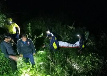 हादसा : गहरी खाई में गिरने से युवक की दर्दनाक मौत