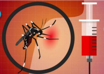 उत्तराखंड में पैर पसार रहा डेंगू, आंकड़ा पहुंचा 600 के पार। देहरादून के हाल बेहाल