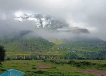 पिथौरागढ़ के दारमा घाटी के बोन गांव में हैप्रेक ने बांटी दुर्लभ जड़ी बूटियों की पौध