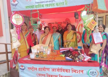 महिला समूहों द्वारा तैयार किये जा रहे उत्पाद, डीएम गहरवार ने लिया जायजा